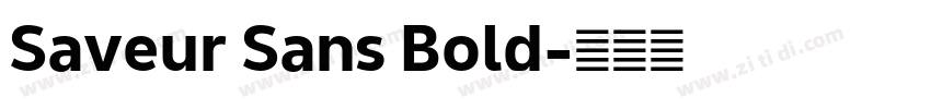 Saveur Sans Bold字体转换